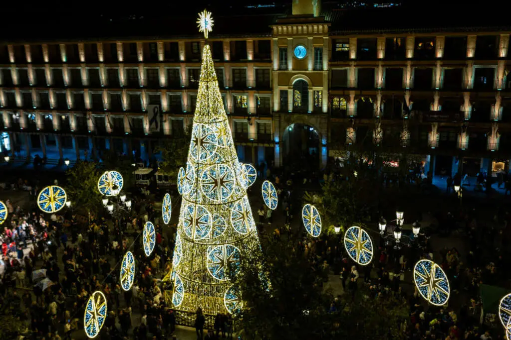 Árbol en Toledo. foto Ángeles Visdómine - EFE