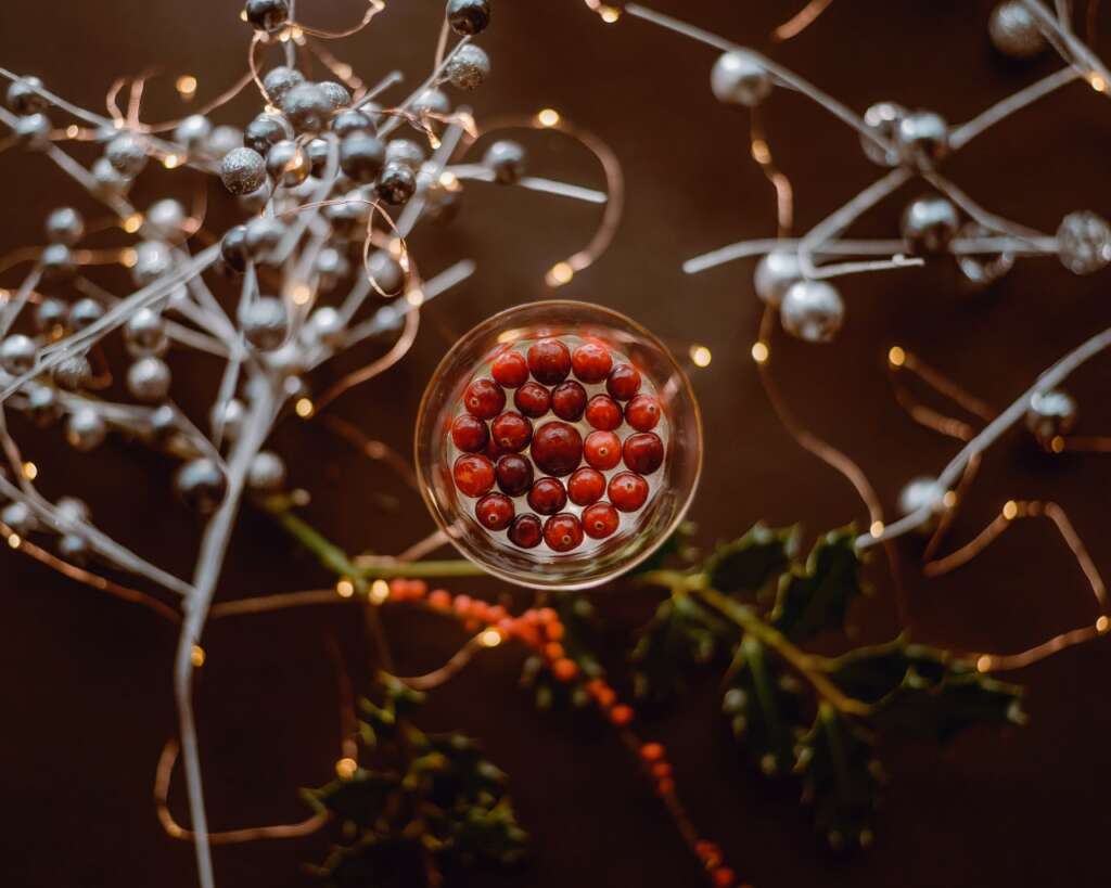 Un cóctel de Navidad con arándanos