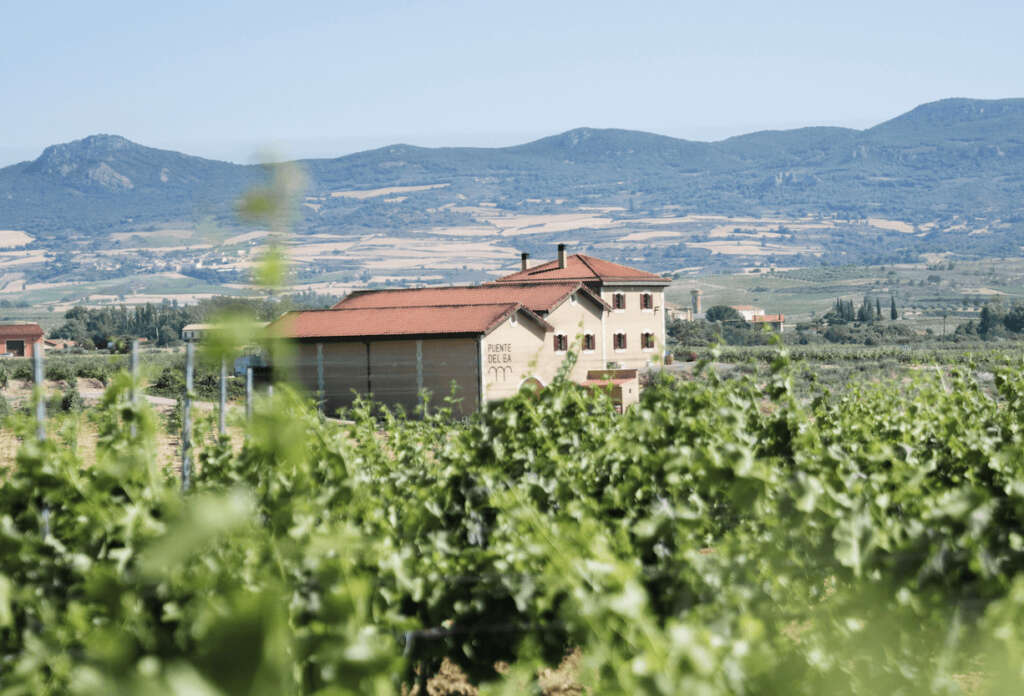 Bodega Puente del Ea