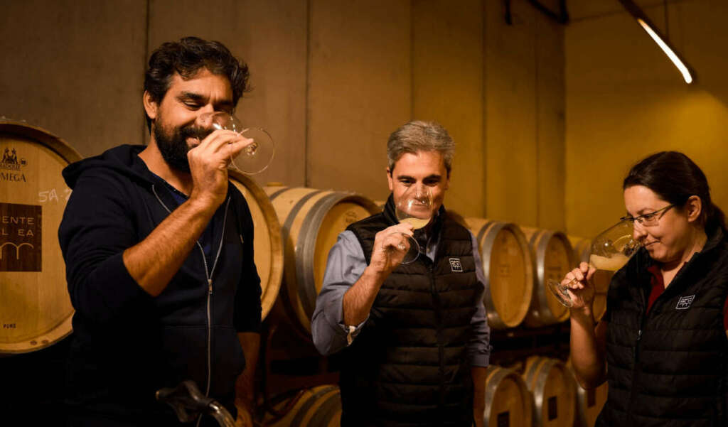 Julien Viaud (enólogo), Ana Gonzalo (enóloga) y Rodrigo Madrid (Gerente y director)