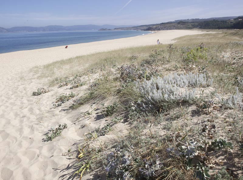 Playa Queiruga, Muros e Noia