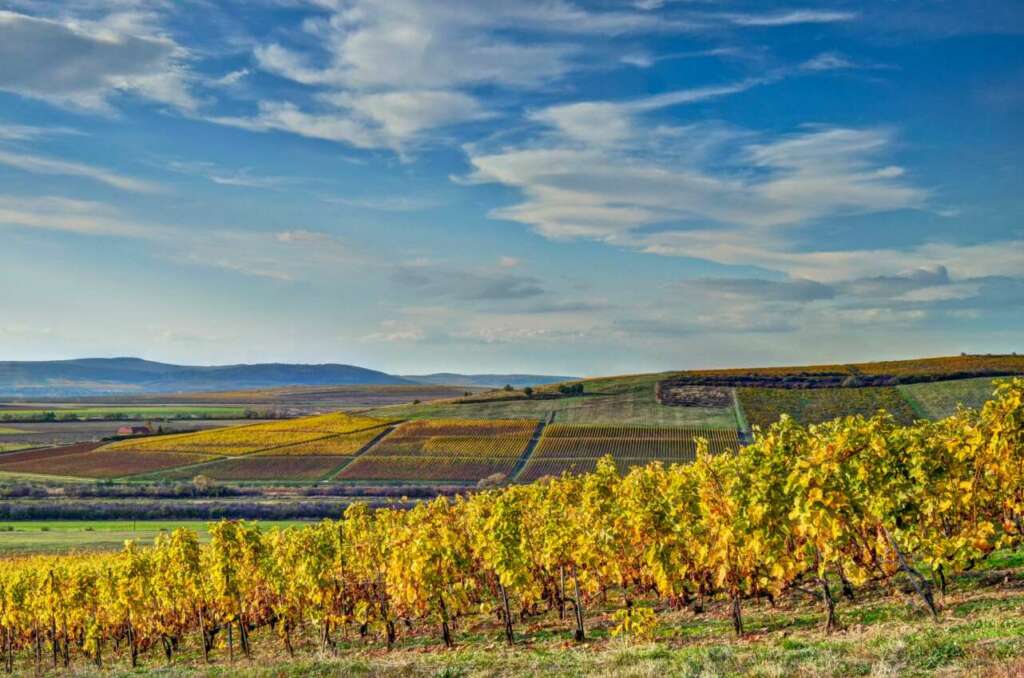 Regione vinicola di Tokaj (Ungheria)