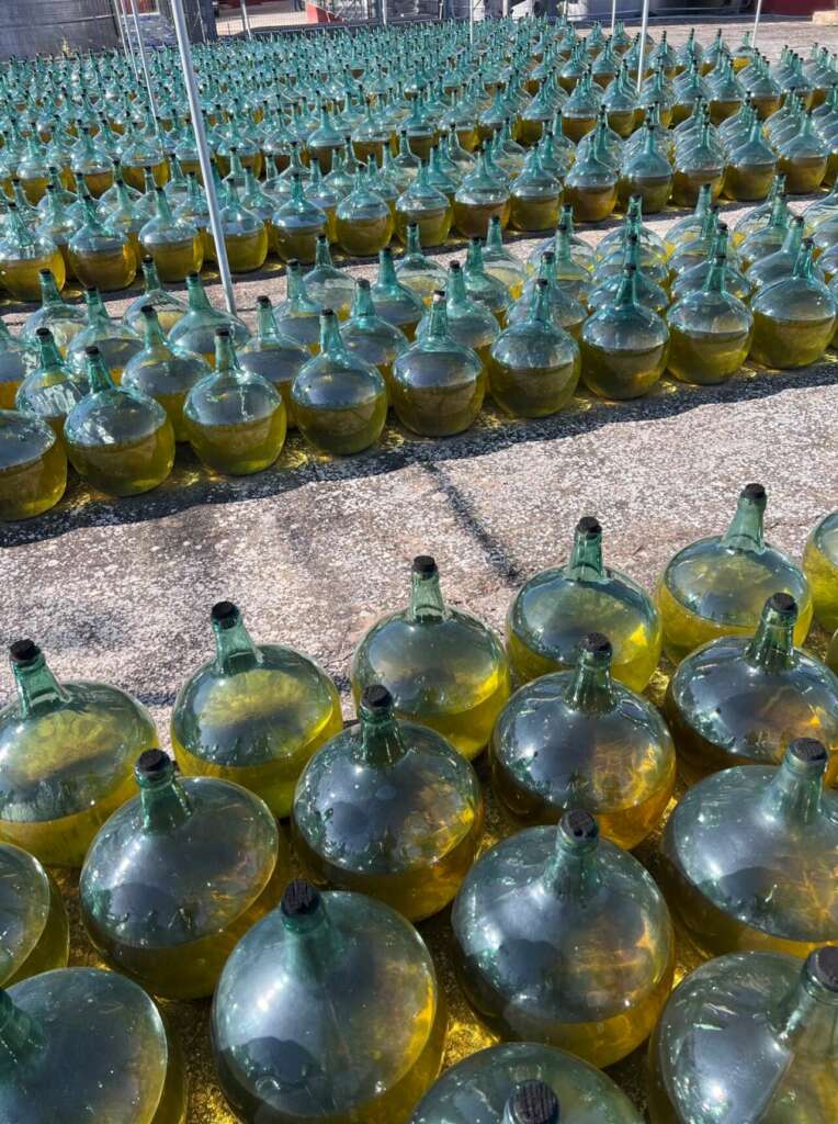 Bodega De Albertos, Rueda