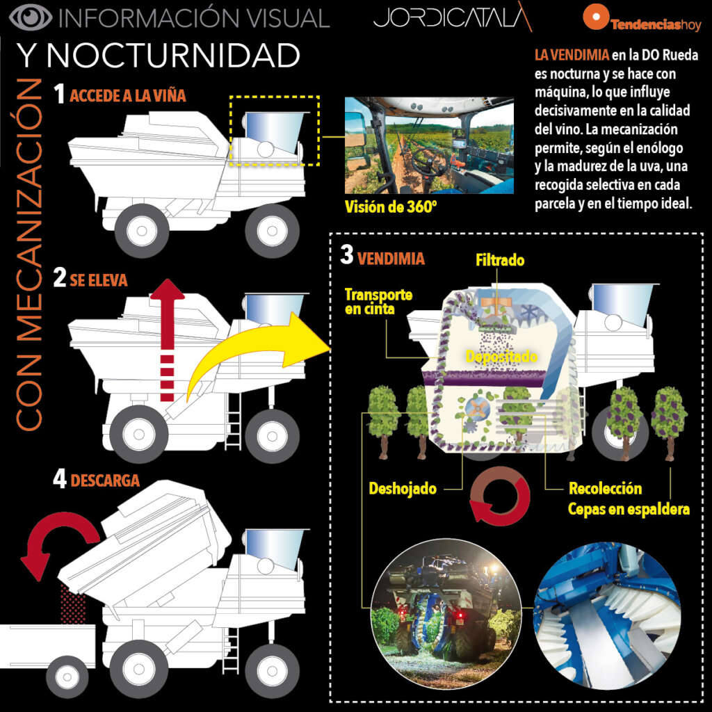 Vendimia nocturna