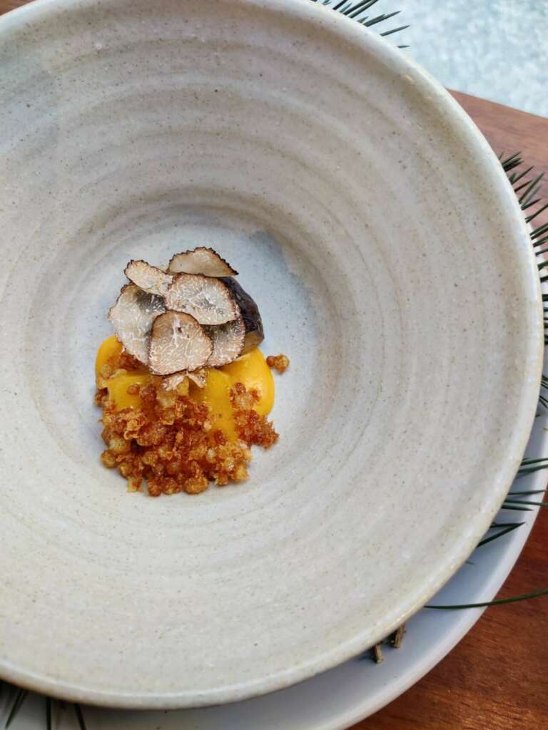 Plato de boletus, huevo, trufa y pino