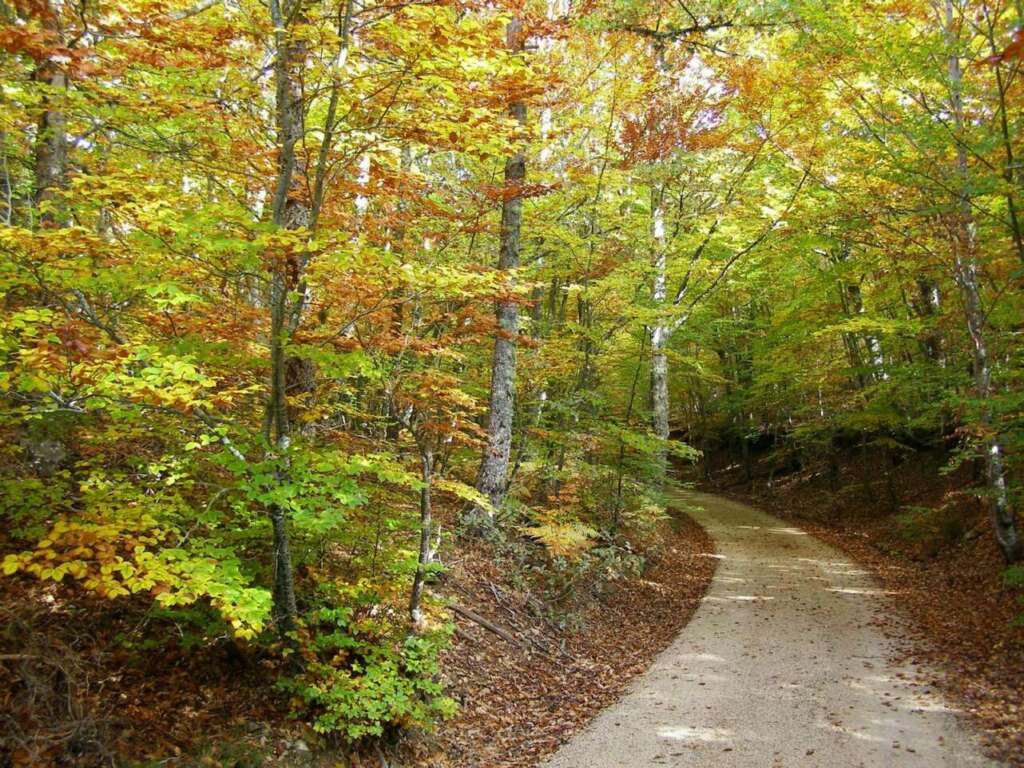 Otoño en la Vía Verde de la Sierra de la Demanda