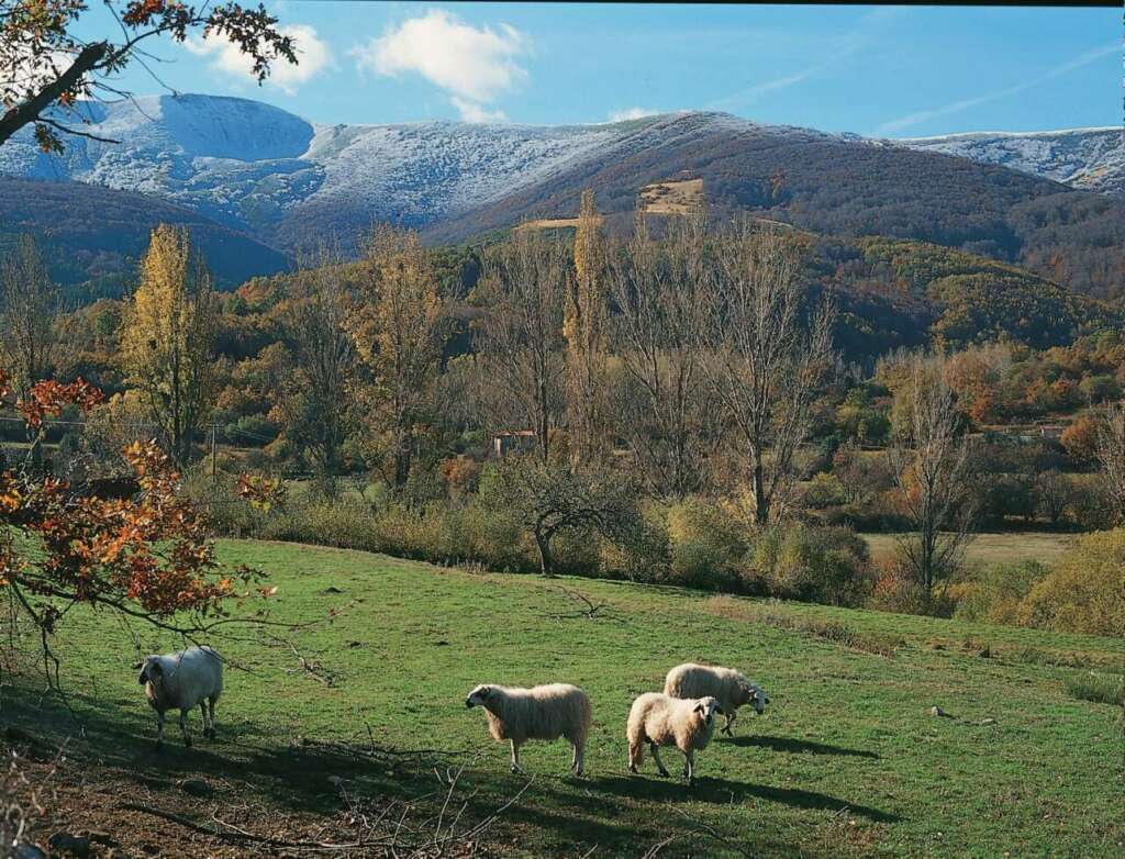 Pico Mencilla