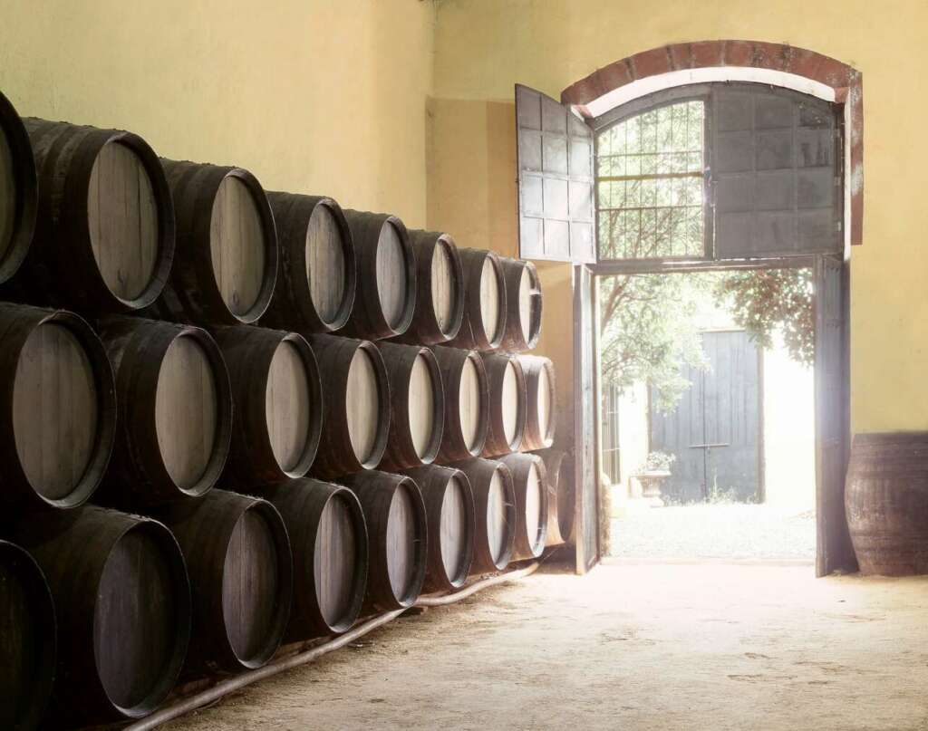 Botas de vino en Jerez