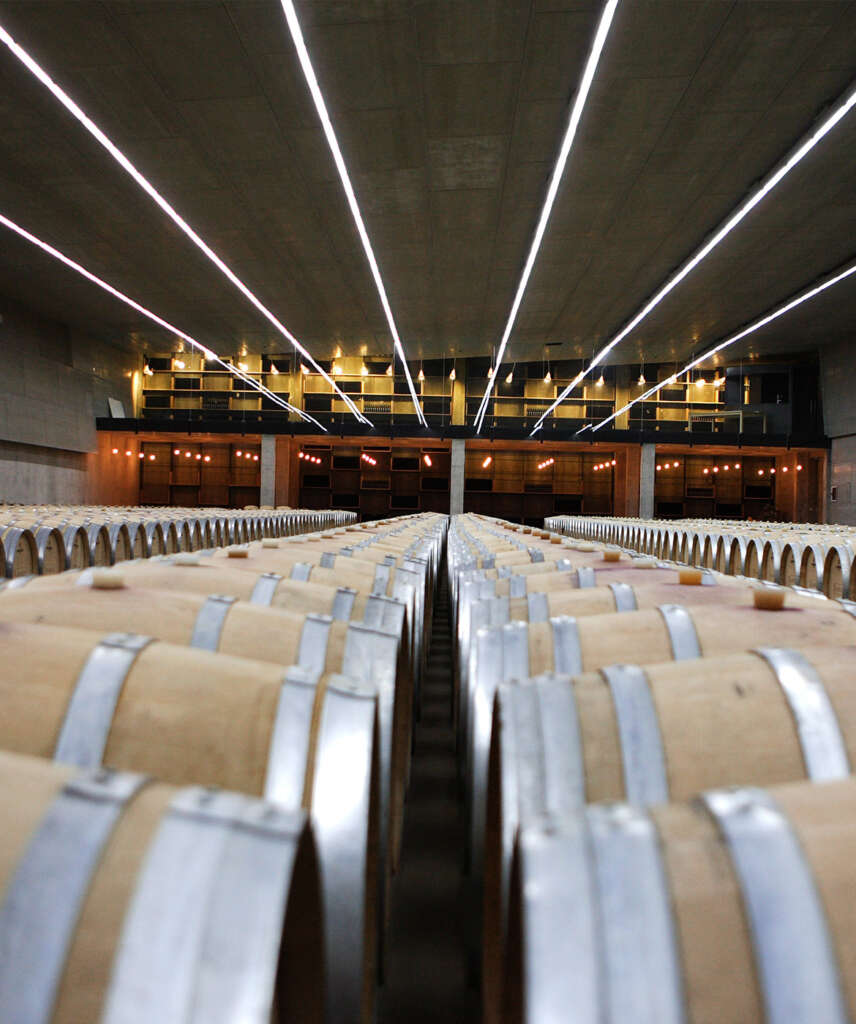 Sala de barricas de Bodegas Buezo.