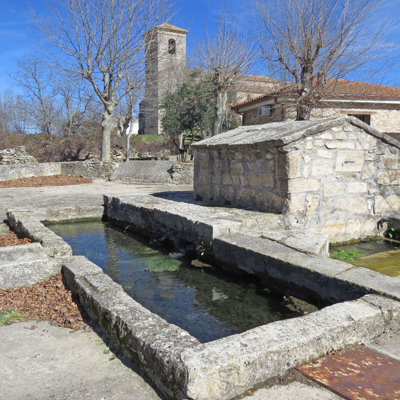 La fuente y el abrevadero de Tamajón