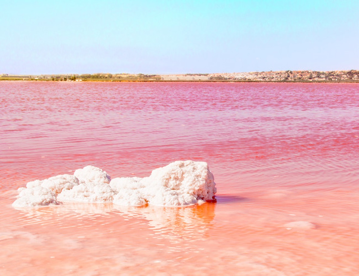 La Laguna Rosa de Torrevieja en Alicante