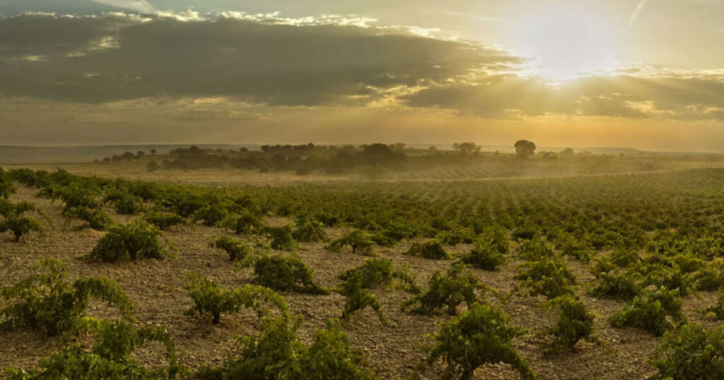 El terroir de la bodega Numanthia, vinos de Toro