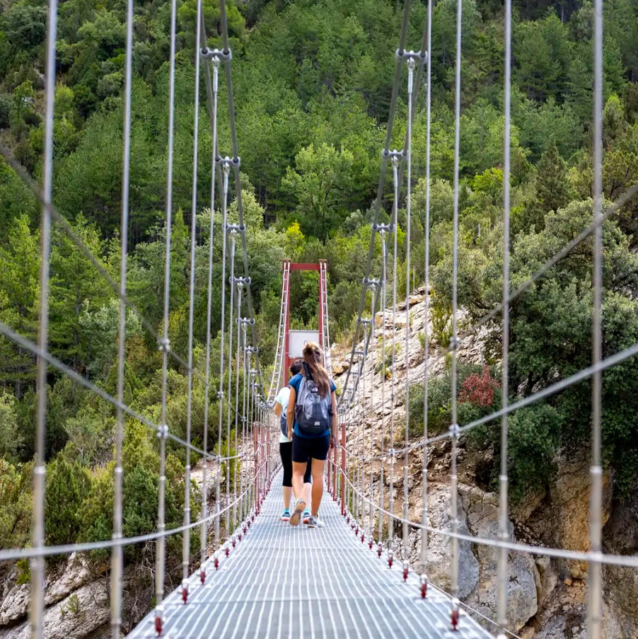 El puente aéreo de la ruta de Montfalcó
