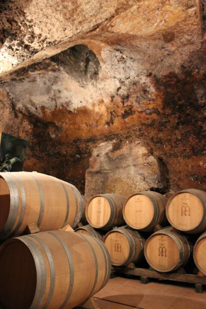 La bodega Muelas en Tordesillas