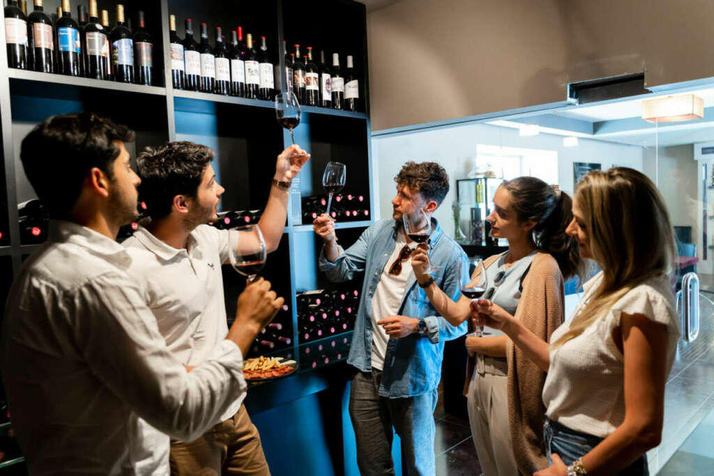 El tour de Toledo con cata de vinos desde Madrid
