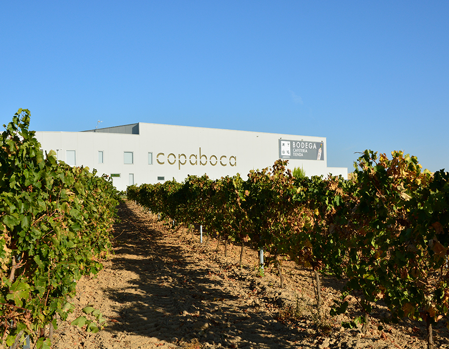 Las bodegas Copaboca en Tordesillas