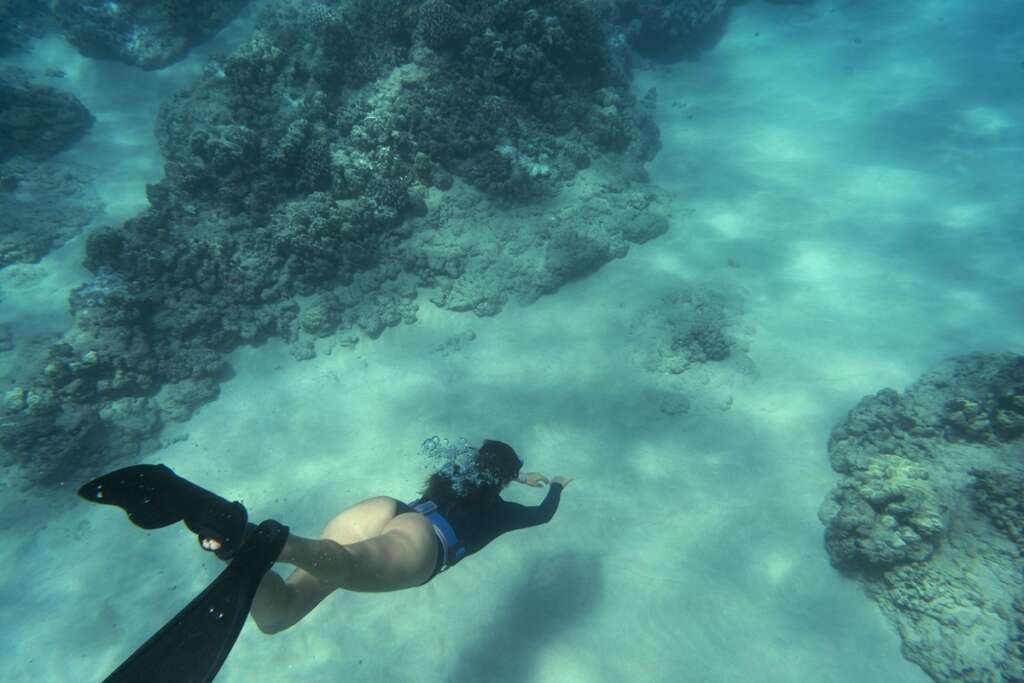 Una persona haciendo snorkel en el mar