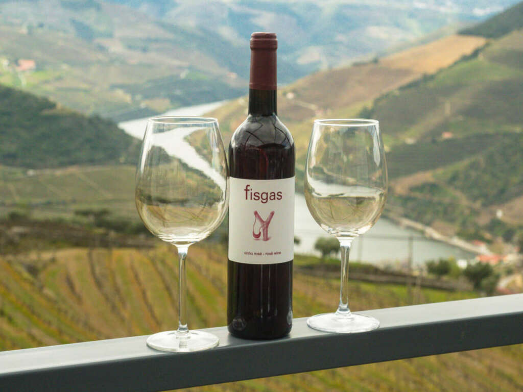 El recorrido vinícola por la zona del Valle del Duero