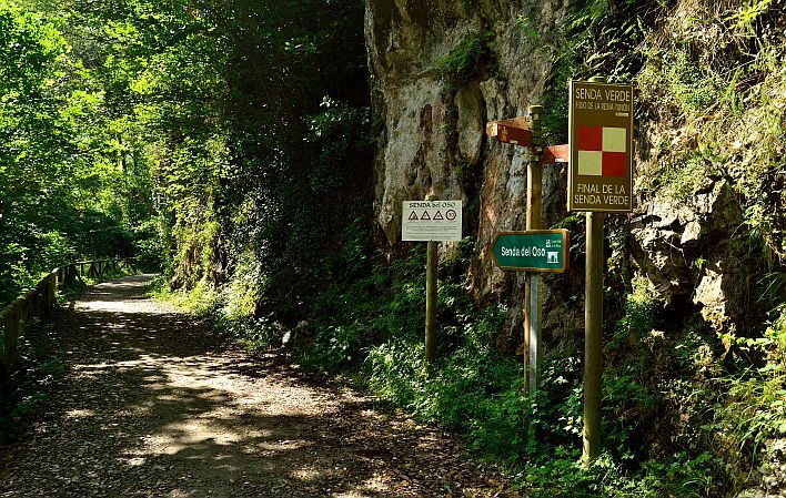 La Senda del Oso en Asturias