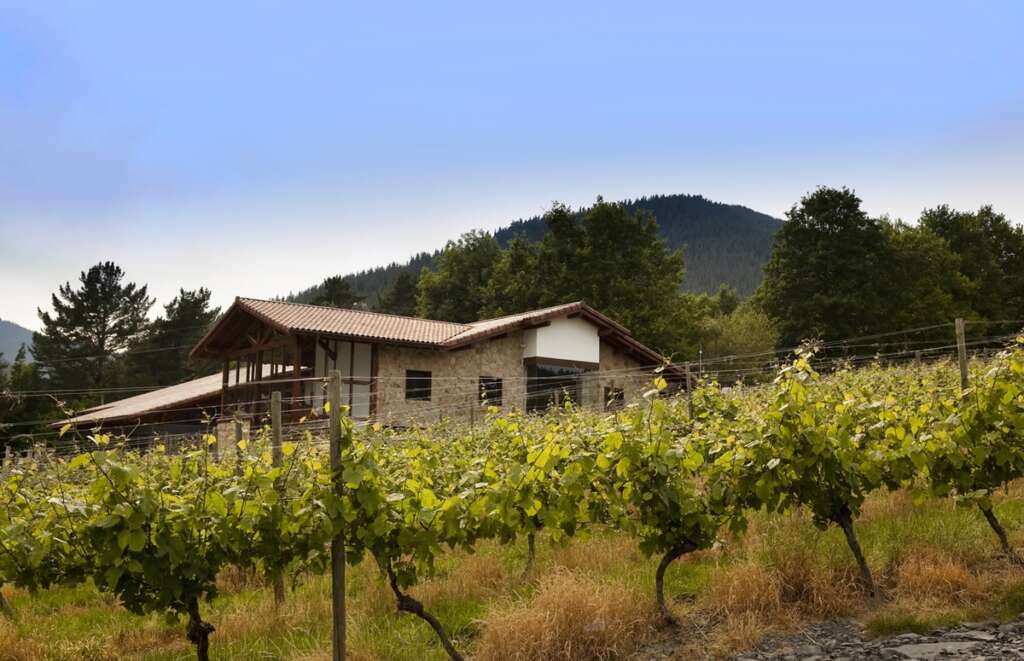 La Bodega de Txakoli Astobiza