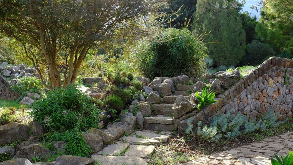 El Jardín Botánico de Sóller en Mallorca