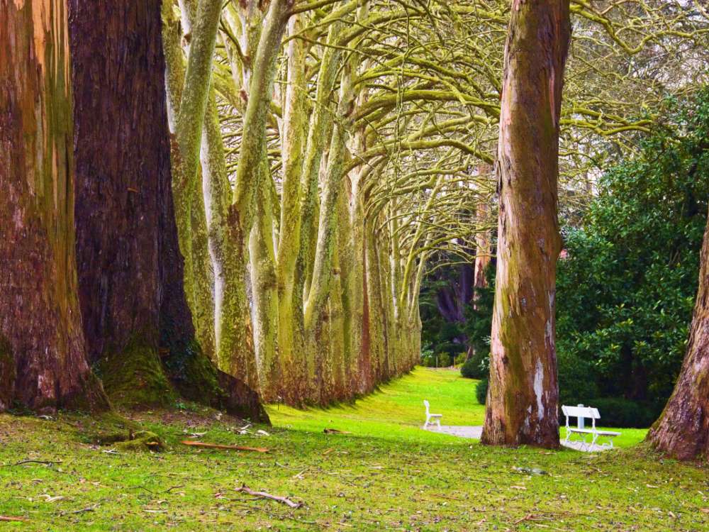 El Jardín Botánico de Gijón