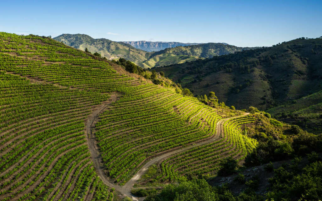 Las bodegas Perinet. Foto: Perinet Winery.