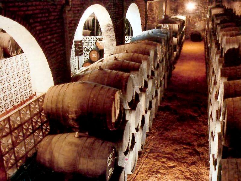 La Bodega González Palacios en Sevilla