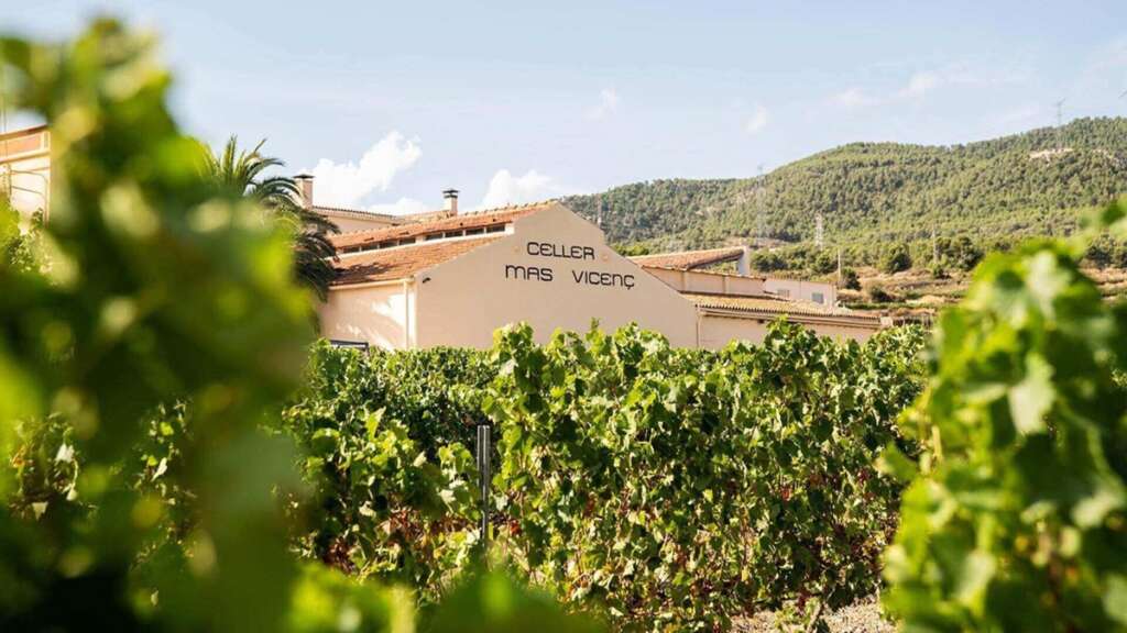La bodega Mas Vicenç en Tarragona