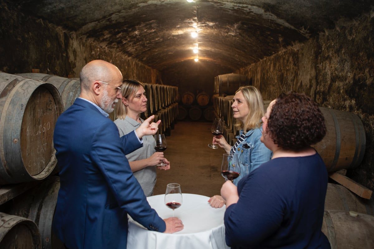 Cata de vinos en Castell d’Or, Tarragona