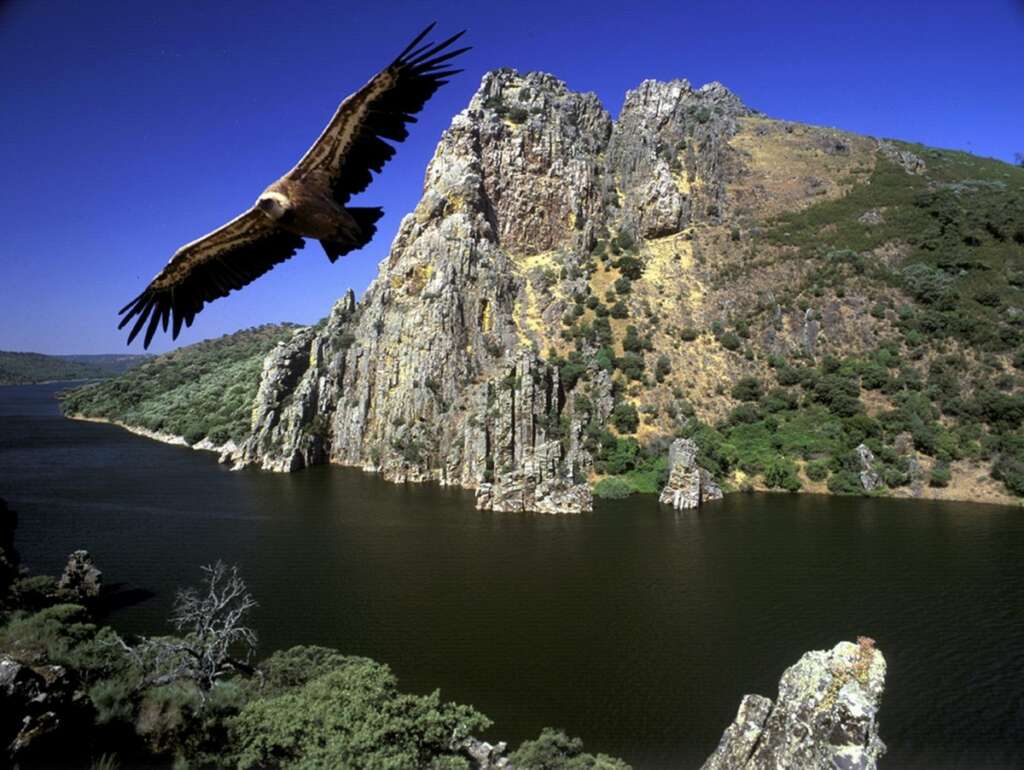 El Parque Nacional de Monfragüe