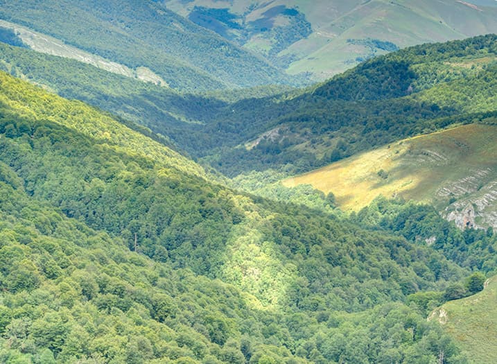 El Parque Natural de Saja-Besaya