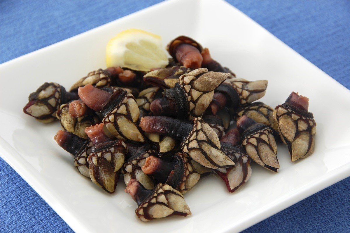 Una tapa de percebes cocidos