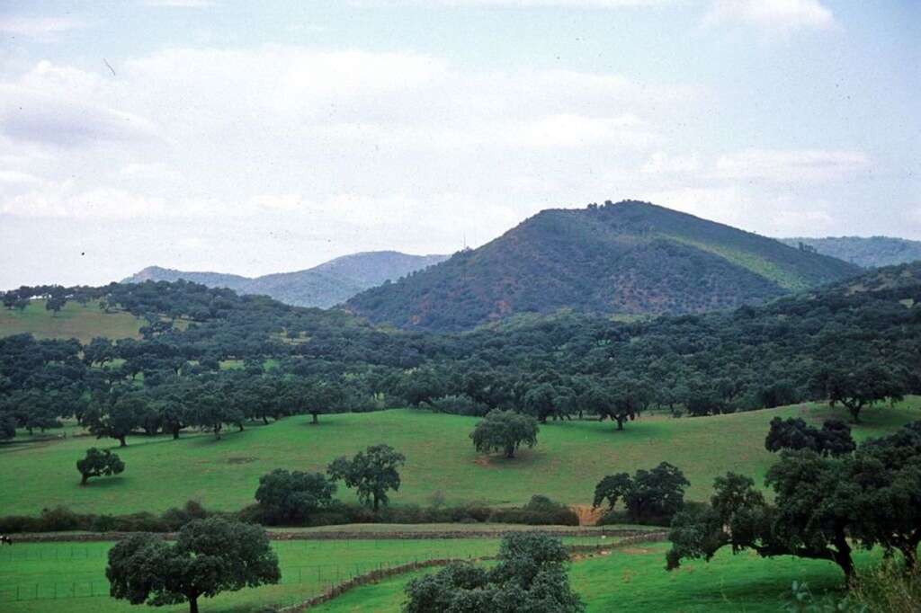 El Parque Natural Sierra de Aracena y Picos de Aroche