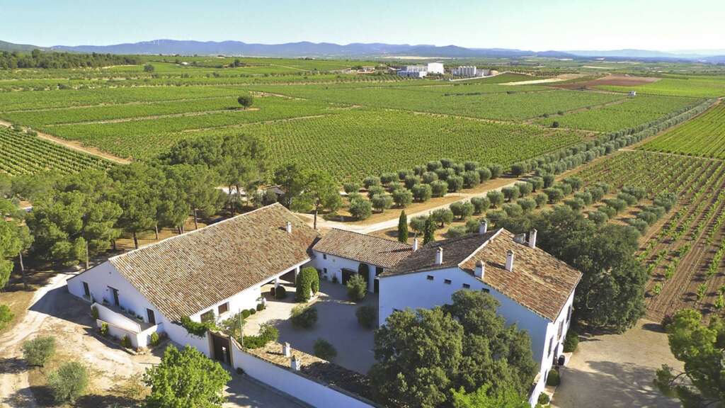Las Bodegas Vicente Gandía