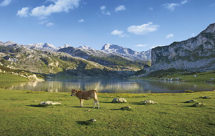 El Parque Nacional de los Picos de Europa
