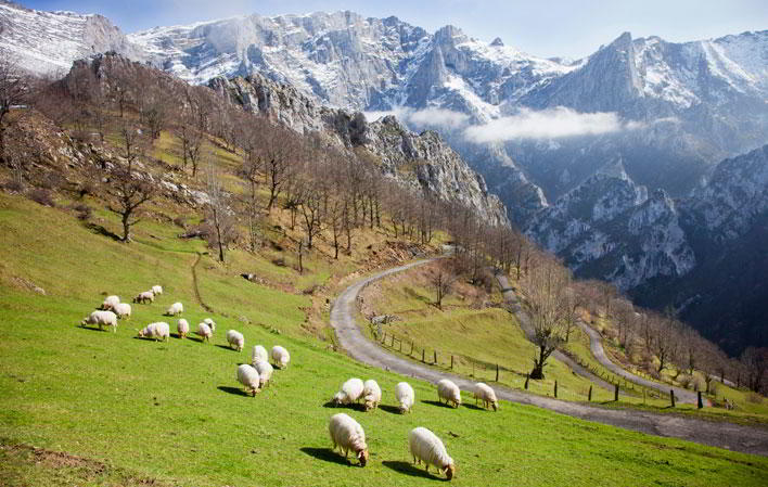 El Parque Natural de Ponga