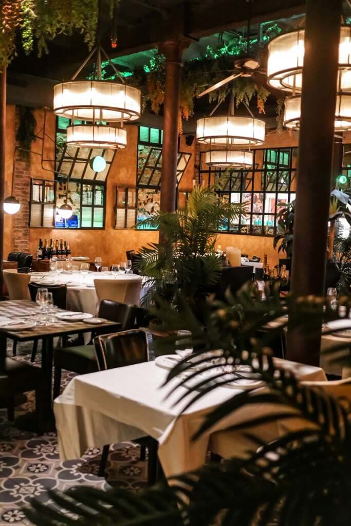 La sala presenta una atmósfera cálida y cercana