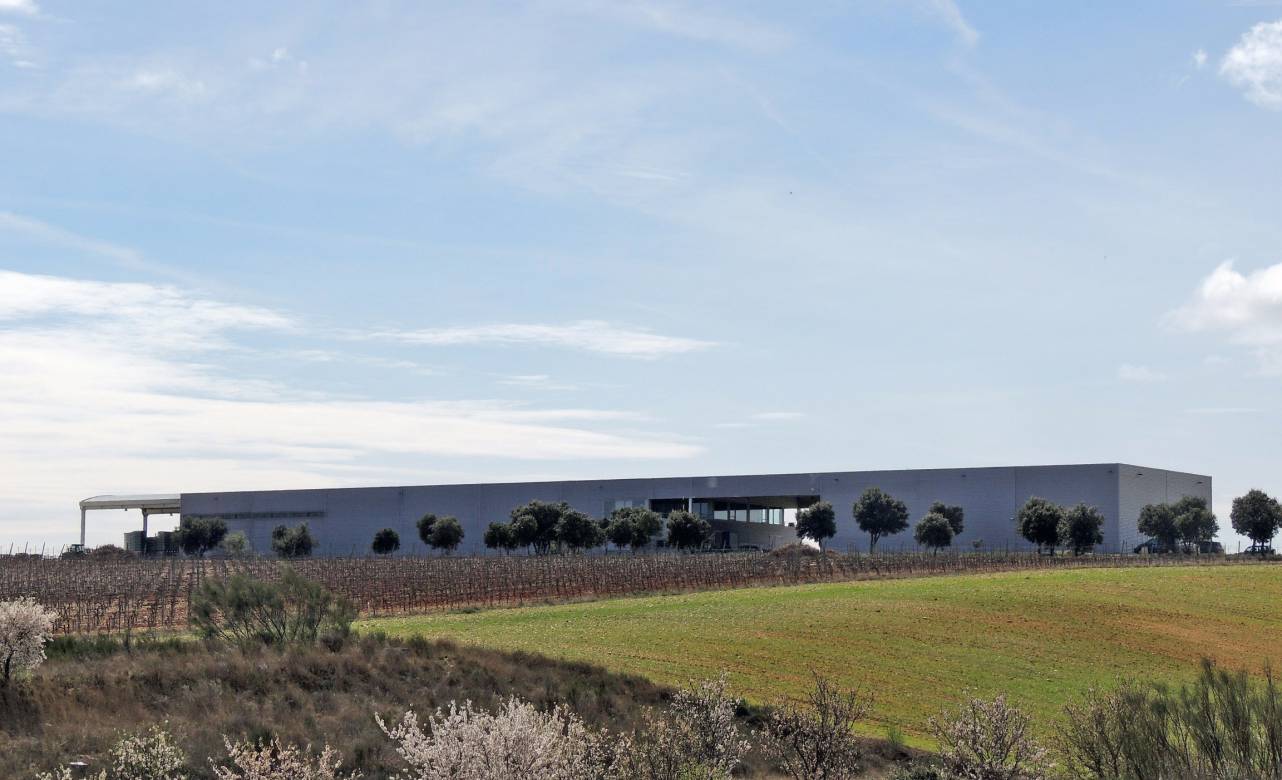 Bodega en Rueda, Familia Torres