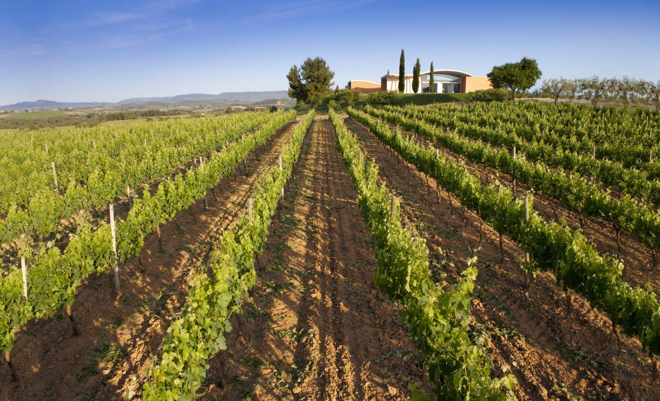 Celler Jean Leon