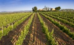 Celler Jean Leon