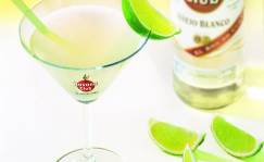 HAVANA CLUB