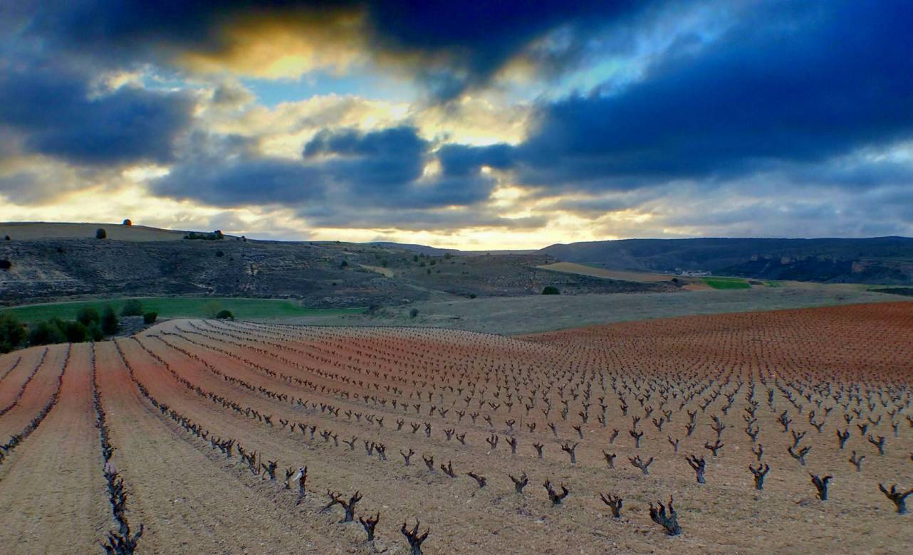 Ribera del Duero