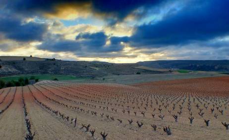 Ribera del Duero