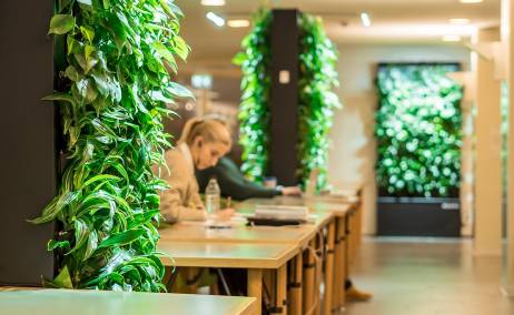 Paredes verdes que hacen la misma función que purificadores y humidificadores (pero en natural). Foto Naava.