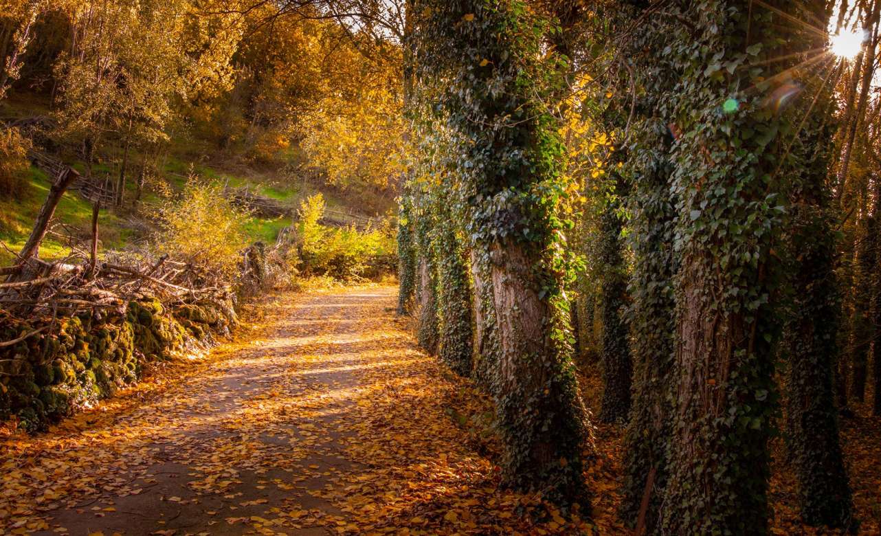 Foto Valle del Ambroz
