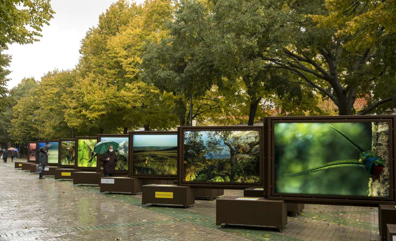 La exposición presenta 52 imágenes de gran belleza