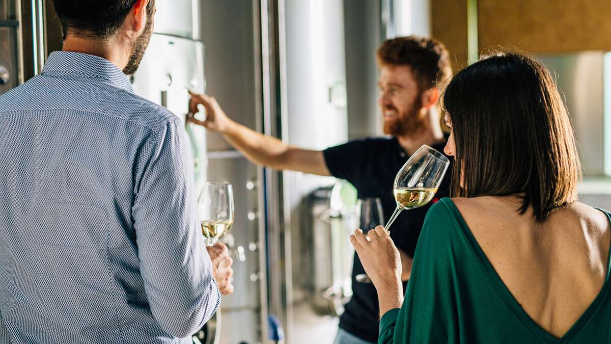 Cata de vinos en Penedès