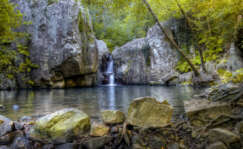 El Parque Natural de Los Alcornocales en Cádiz