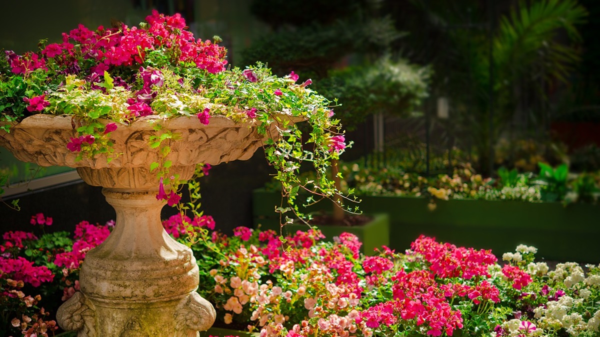 Un jardín botánico con flores